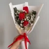 Emely - Tulips