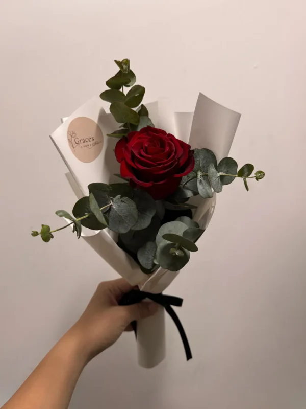 Alethea – Single Rose Alethea - Roses