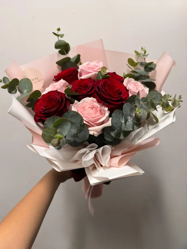 Alethea – 12 Rose Alethea - Roses