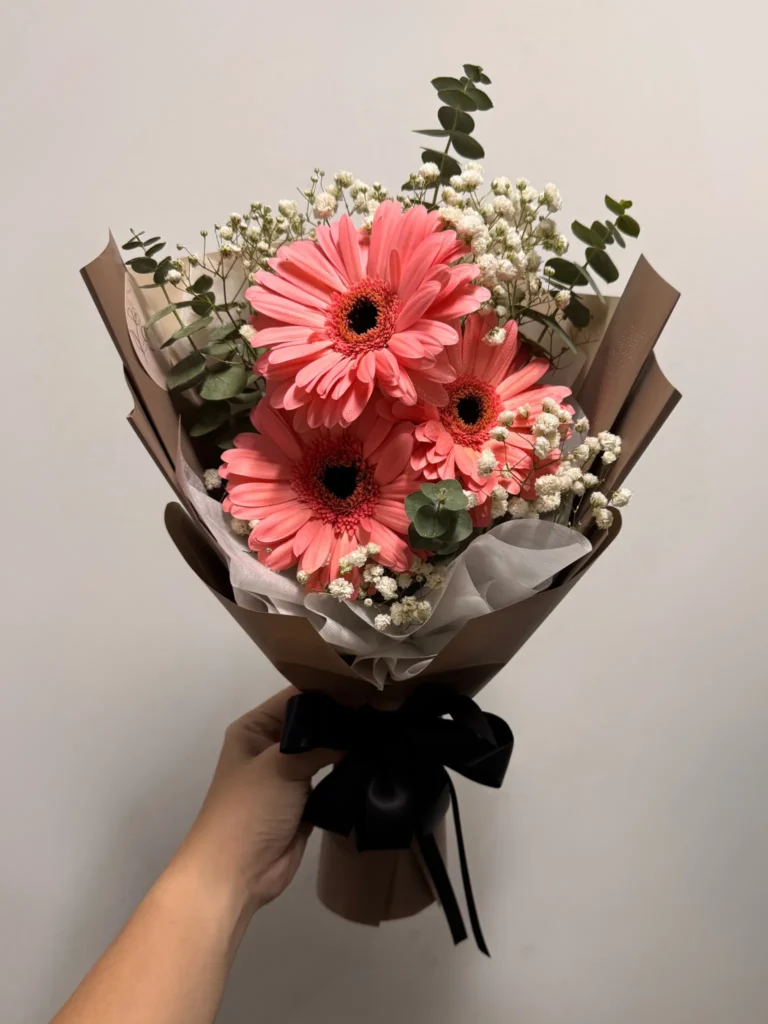 Eunice - Gerbera