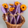 Eunice - Gerbera