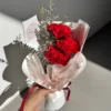 Stecy - Carnation