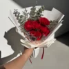 Stecy - Carnation