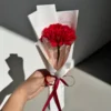 Stecy - Carnation