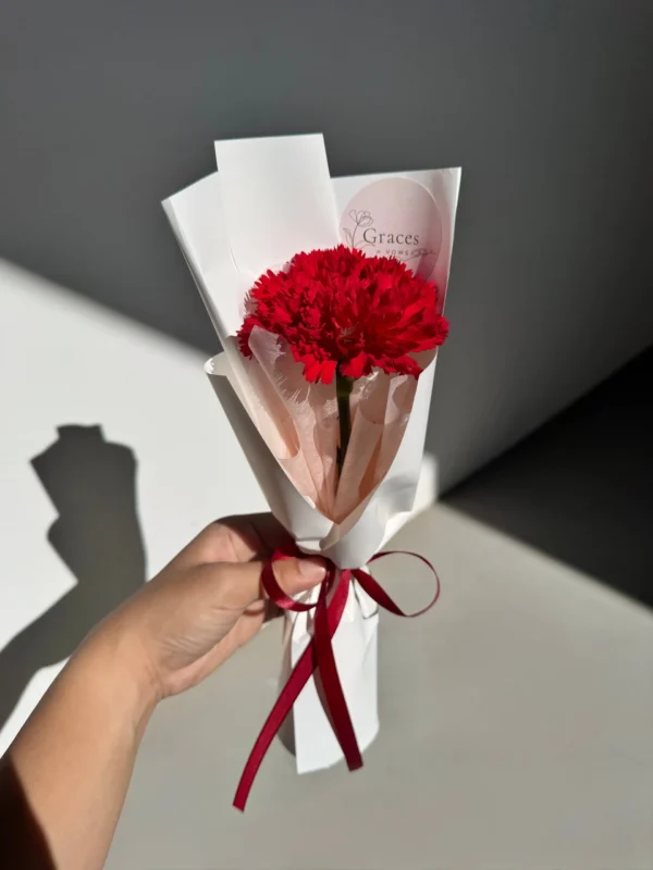 Stecy - Carnation